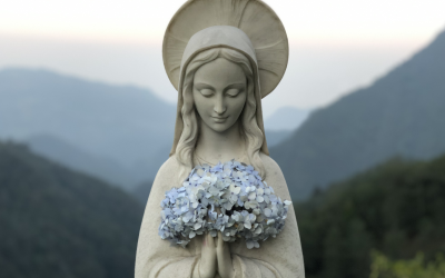 A Message from the WUCWO President – January 2024